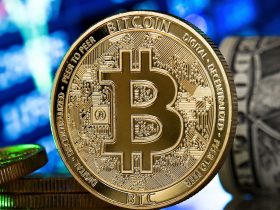 bitcoins beleggen